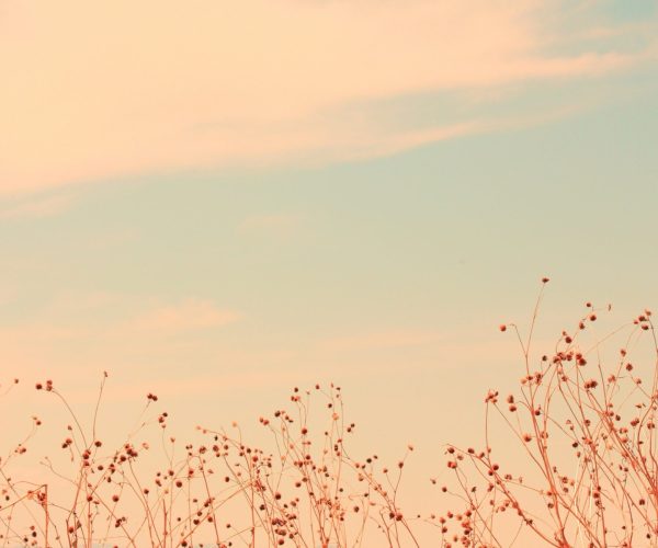 1685702615_en-idei-club-p-colorful-sky-background-dizain-pinterest-26